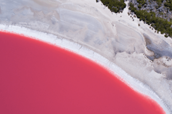 LAKE HILLIER